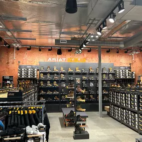 Bild von Ariat Work Shop