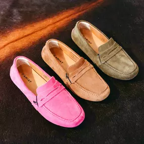 Bild von Ariat Brand Shop
