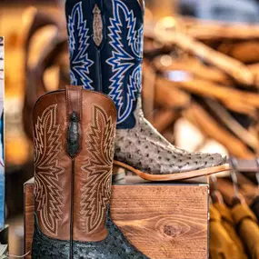 Bild von Ariat Brand Shop