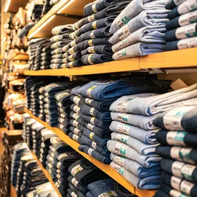 Bild von Ariat Brand Shop