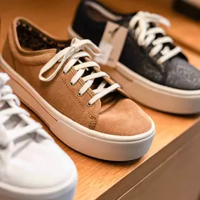 Bild von Ariat Brand Shop