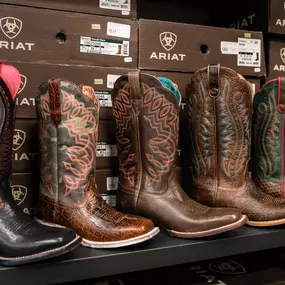 Bild von Ariat Outlet