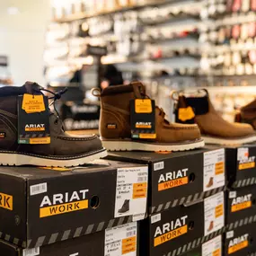 Bild von Ariat Outlet