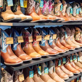 Bild von Ariat Outlet
