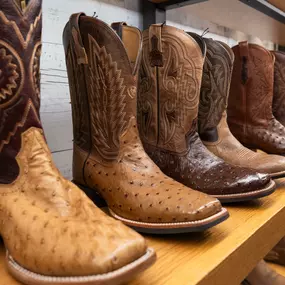 Bild von Ariat Brand Shop