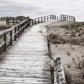 Bild von Friedrich Cordes Bestattungen Hannover Zoo