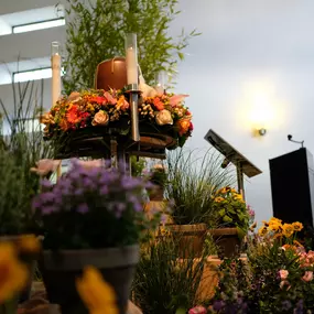 Bild von Friedrich Cordes Bestattungen Hannover Zoo