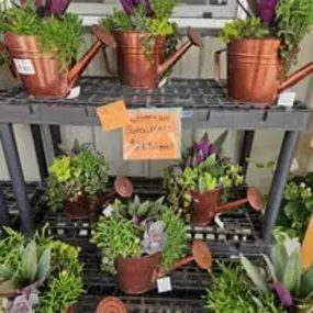 Bild von The Garden Stop