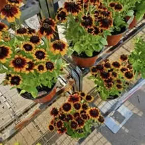 Bild von The Garden Stop
