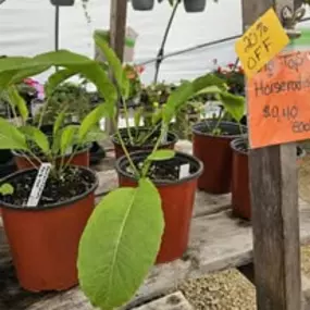 Bild von The Garden Stop