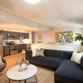 Living Room and Kitchen