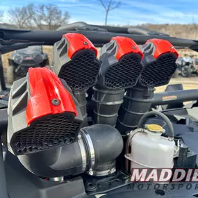 Bild von Maddie's Motor Sports - Spencerport