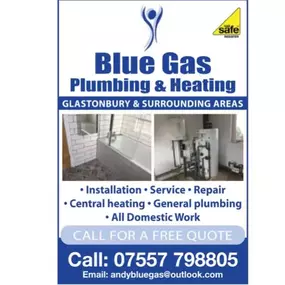 Bild von Blue Gas Plumbing And Heating