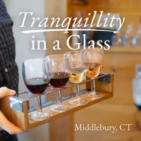 A flight of hand-selected estate wines at Tranquillity Vineyard & Winery, perfect for casual sipping or private tastings.