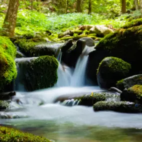 Bild von Evantura – Business Coaching in und mit der Natur