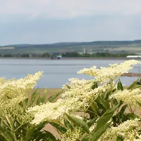 Bild von Restaurant Seeblick