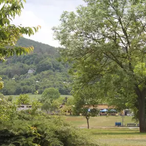 Bild von Restaurant Seeblick