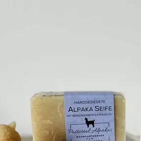 Bild von Pustertal Alpakas vom Baumgartnerhof
