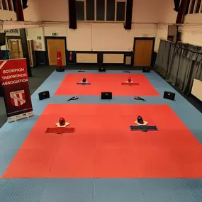 Bild von Scorpion Taekwondo Sheffield