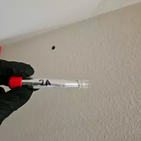 Bild von AccuGuard Environmental