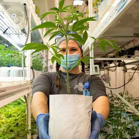 Bild von Northeast Alternatives Dispensary - Fall River