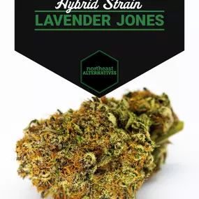 Bild von Northeast Alternatives Dispensary - Fall River