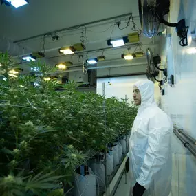 Bild von Northeast Alternatives Dispensary - Fall River