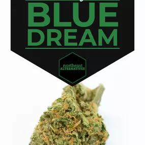 Bild von Northeast Alternatives Dispensary - Seekonk
