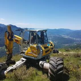 Bild von Edilcapri SA