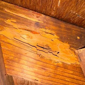 Bild von Colvin Inspections