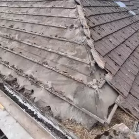 Bild von Pinnacle Roofing Specialists