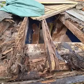 Bild von Pinnacle Roofing Specialists