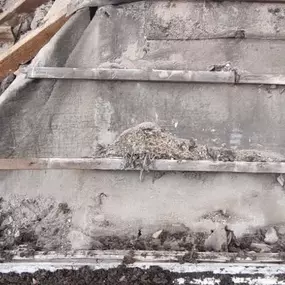 Bild von Pinnacle Roofing Specialists