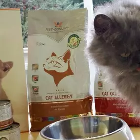 Bild von Katzenpension und Tierheilpraxis Rieger