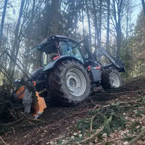 Bild von Forst- & Winterdienst, Gartenpflege Müller Michael