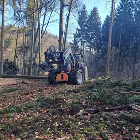 Bild von Forst- & Winterdienst, Gartenpflege Müller Michael