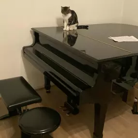 Falk Grübner Musikunterricht