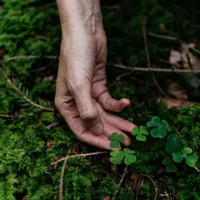 Bild von Gabriele Storz Sundari Yoga Weißenhorn