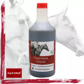 Bild von Equi-Fortis
