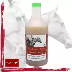 Bild von Equi-Fortis