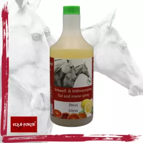 Bild von Equi-Fortis