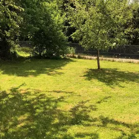 Bild von Ferienwohnung Bailey