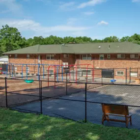 Bild von Windsor Academy