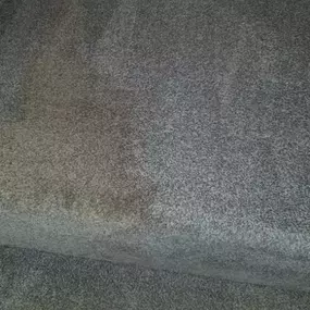 Bild von DSS Cleaning Team