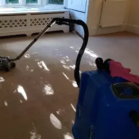 Bild von DSS Cleaning Team