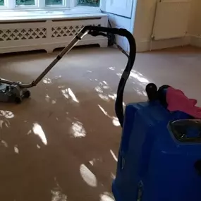 Bild von DSS Cleaning Team