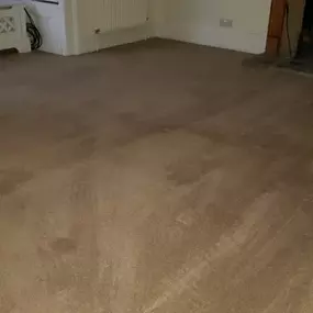 Bild von DSS Cleaning Team