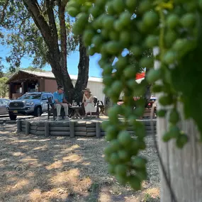 Bild von Sonoma Wine Rides