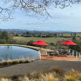 Bild von Sonoma Wine Rides