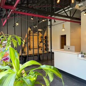 Bild von Catalyst Chiropractic